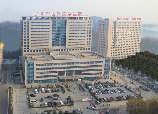 广州军区武汉总院